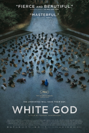 Beyaz Tanrı izle