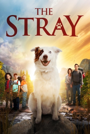 The Stray izle
